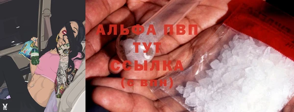 первитин Богданович