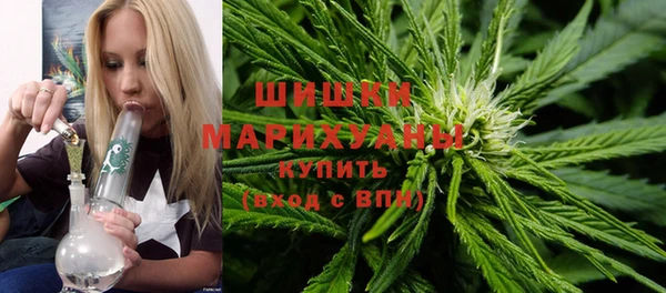 амф Богородицк