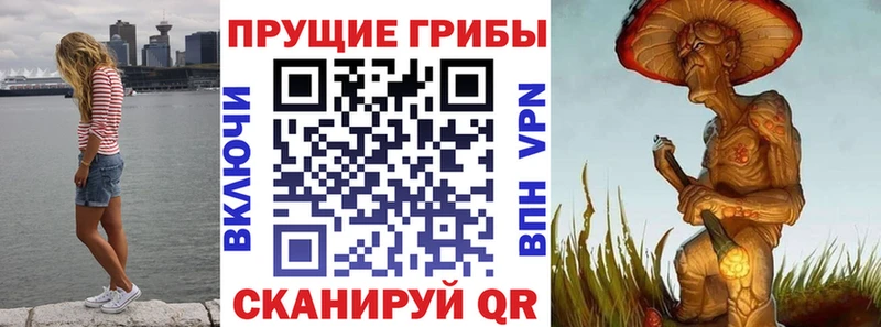 Псилоцибиновые грибы MAGIC MUSHROOMS Мещовск