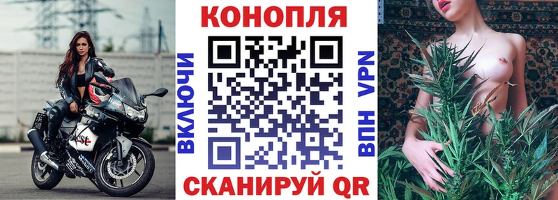 KRAKEN рабочий сайт  Мещовск  Шишки марихуана Ganja  продажа наркотиков 
